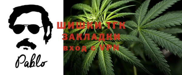 соль ск Бердск
